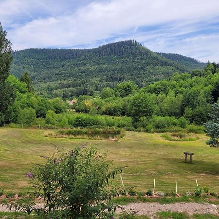 Gite Forestier Du Moulin Raon-sur-Plaine Exteriér fotografie