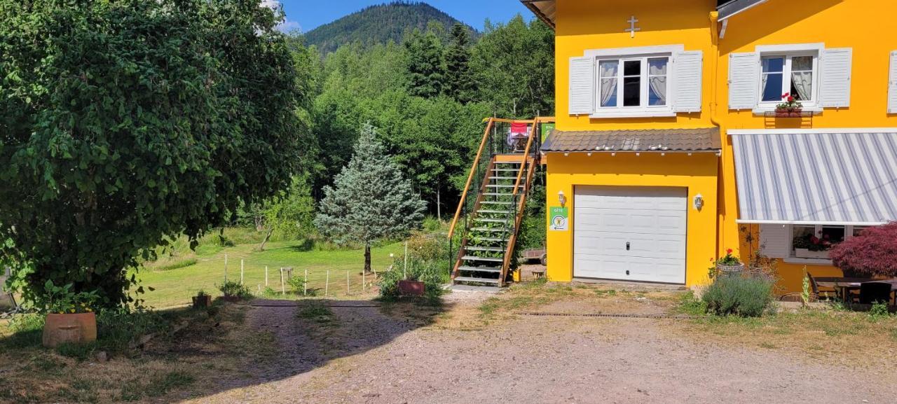 Gite Forestier Du Moulin Raon-sur-Plaine Exteriér fotografie