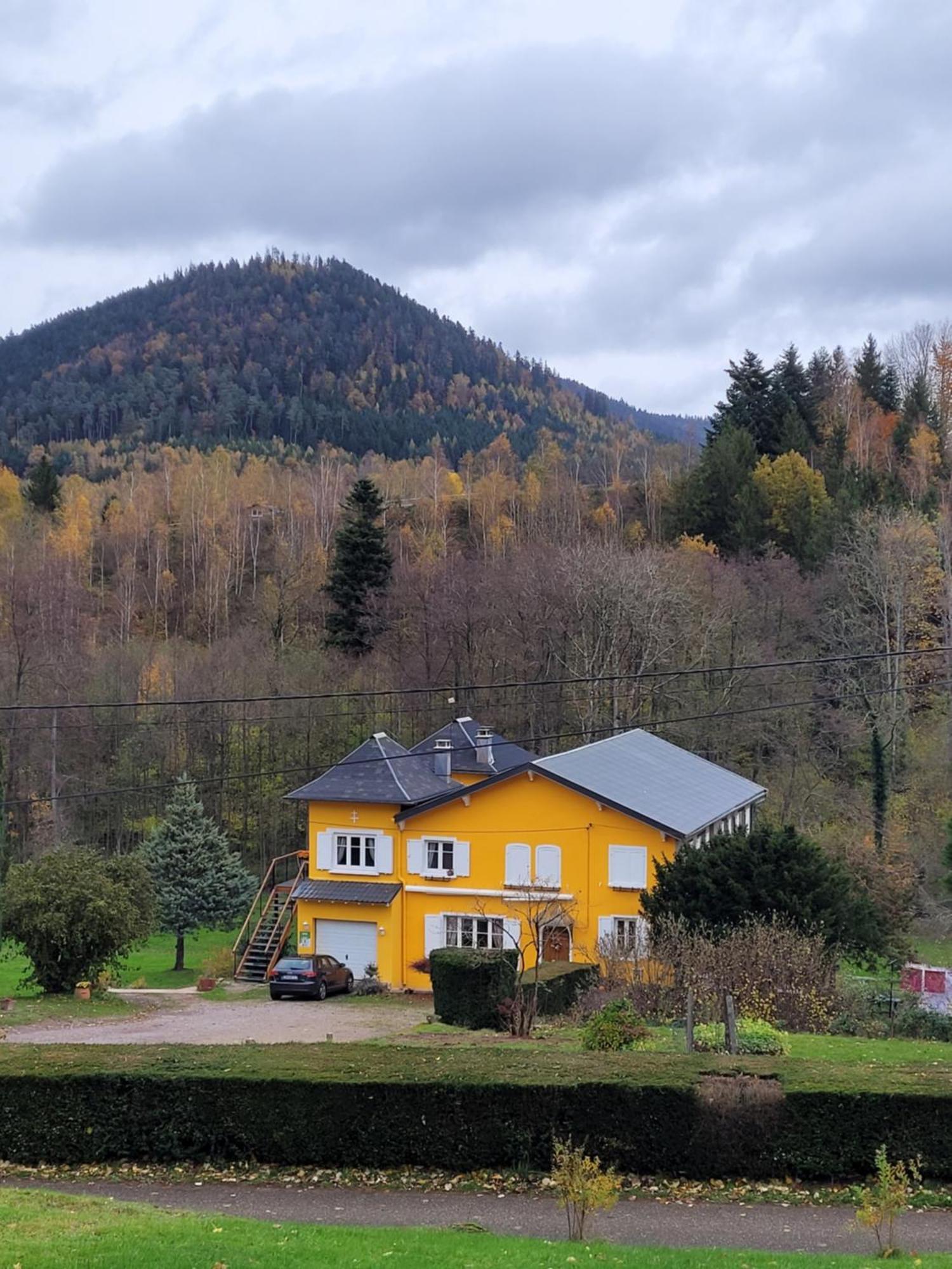 Gite Forestier Du Moulin Raon-sur-Plaine Exteriér fotografie