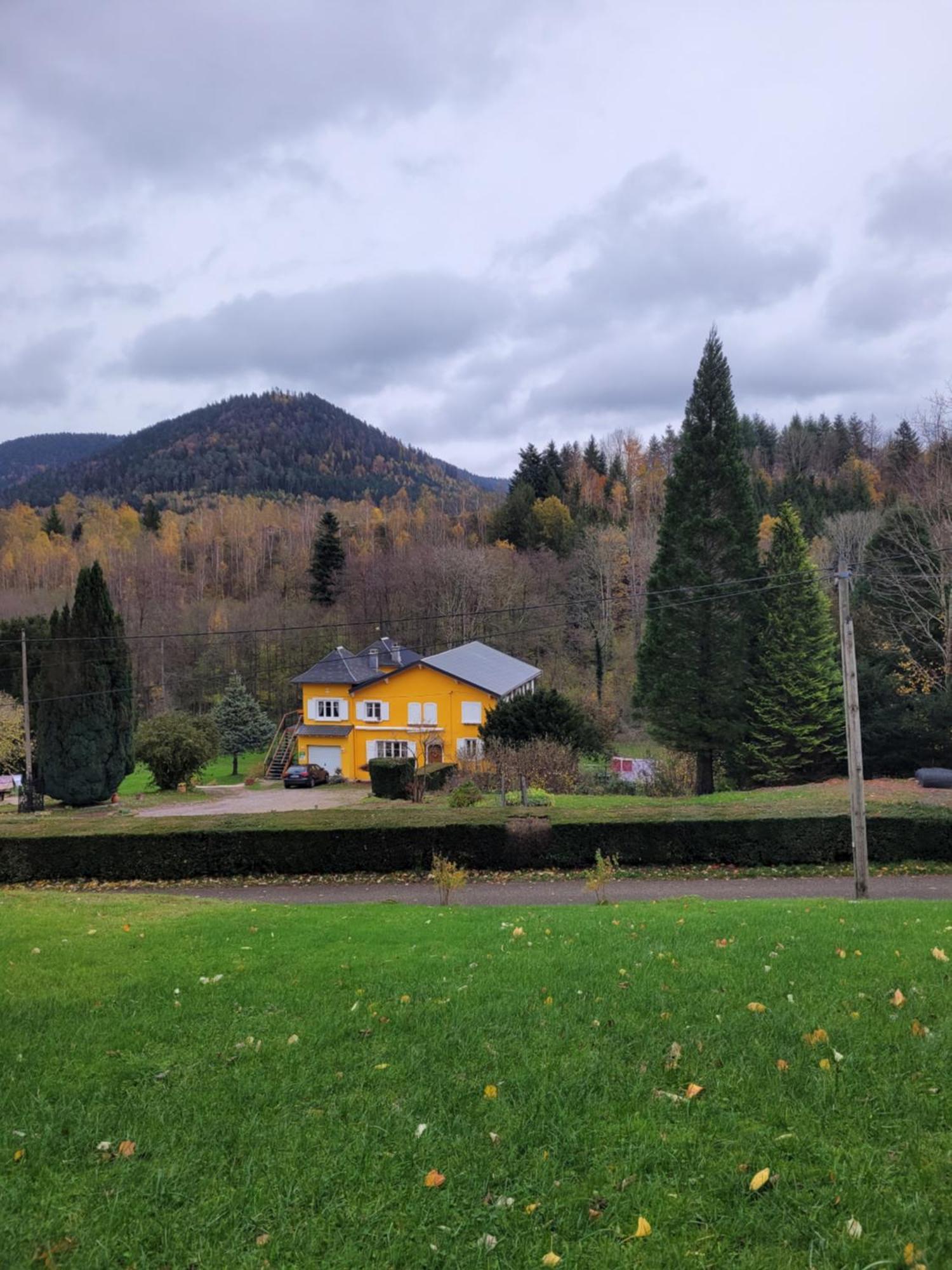 Gite Forestier Du Moulin Raon-sur-Plaine Exteriér fotografie