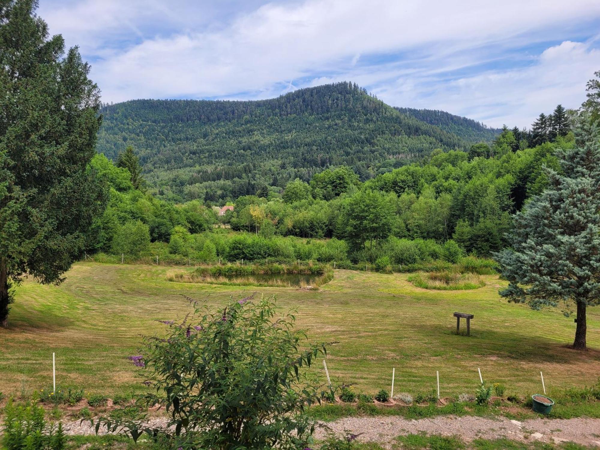 Gite Forestier Du Moulin Raon-sur-Plaine Exteriér fotografie