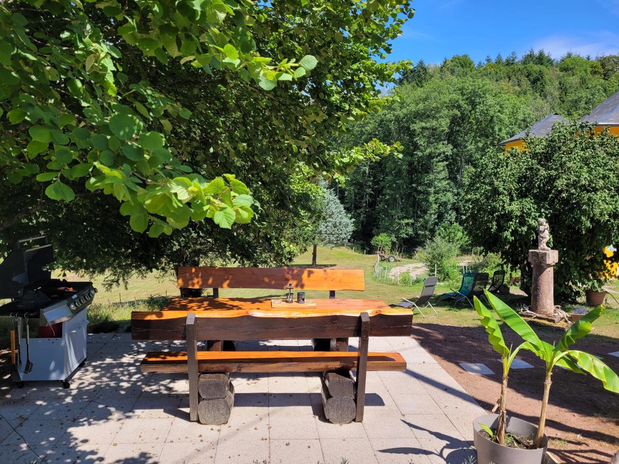 Gite Forestier Du Moulin Raon-sur-Plaine Exteriér fotografie