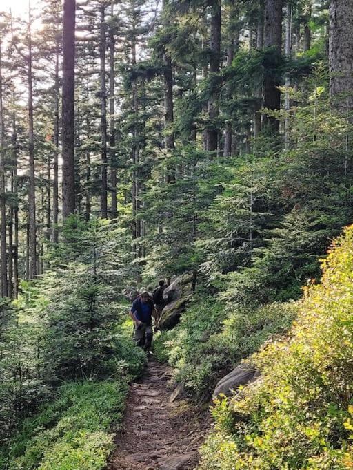 Gite Forestier Du Moulin Raon-sur-Plaine Exteriér fotografie