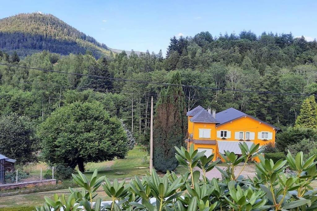 Gite Forestier Du Moulin Raon-sur-Plaine Exteriér fotografie