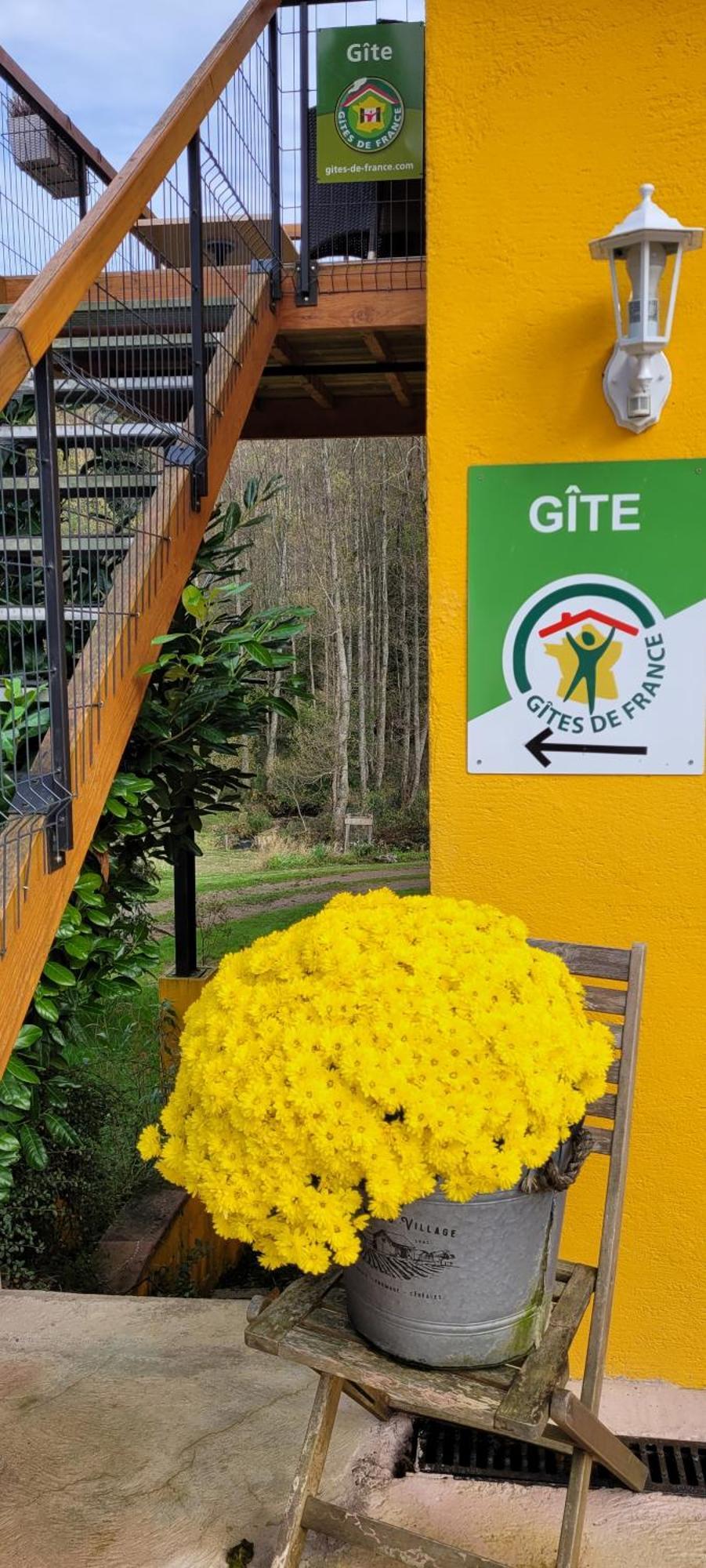 Gite Forestier Du Moulin Raon-sur-Plaine Exteriér fotografie