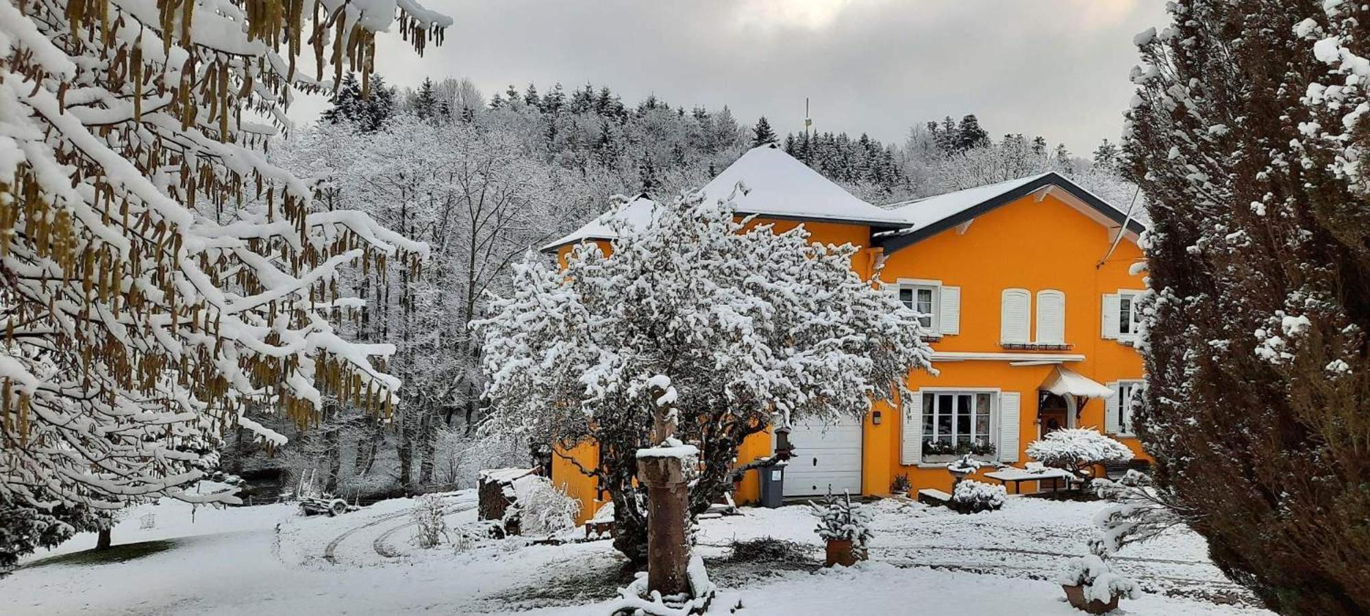 Gite Forestier Du Moulin Raon-sur-Plaine Exteriér fotografie